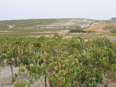 Sanlucar06.JPG