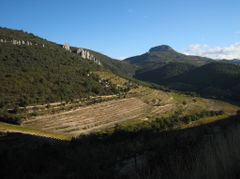 Dentelles-16.jpg