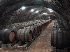 Szepsi Cellars.jpg