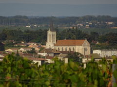 083-RomanecheThorins.JPG