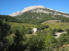 BeaumesDeVenise-08.jpg
