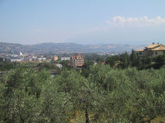 Photo0000.JPG