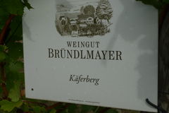 011-Brundlmeyer.JPG