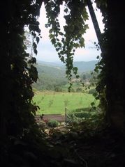 IMG_4214.JPG