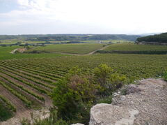 048-Sumarroca.JPG