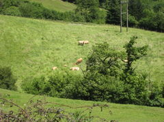 8-SierraCantabria-26.JPG