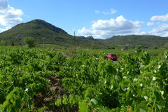 Faugeres-02.JPG