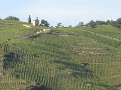 015-Hermitage.JPG