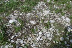 08_FiumeTagliamento-03.JPG