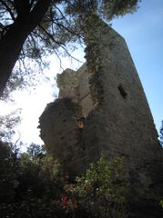 Seguret06.jpg