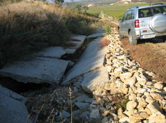 Vineyards09.JPG