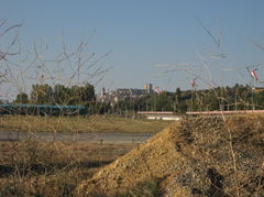 Auch-06.jpg