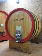 5-MonteSchiavo-15.JPG